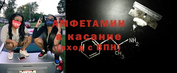 стаф Аркадак