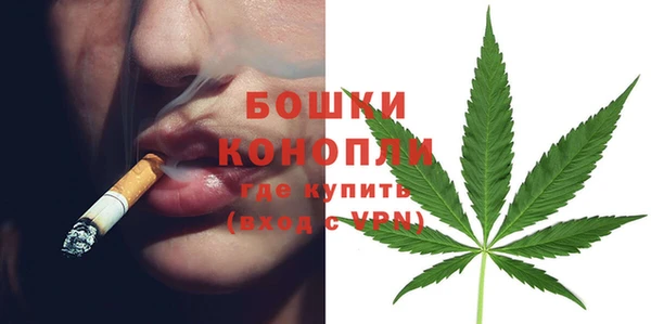 стаф Аркадак