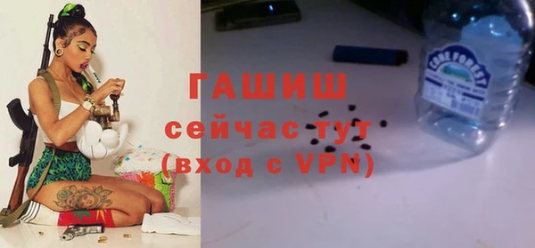 стаф Аркадак