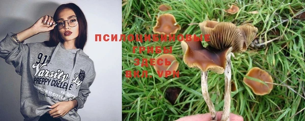 дурь Нефтегорск
