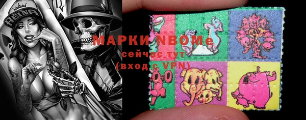 стаф Аркадак