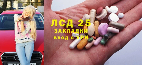 стаф Аркадак