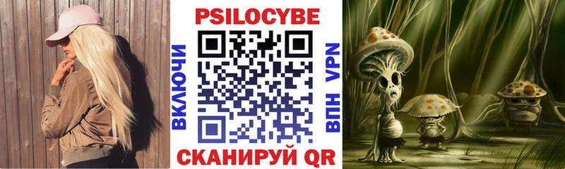 Галлюциногенные грибы GOLDEN TEACHER  купить   Бабаево 